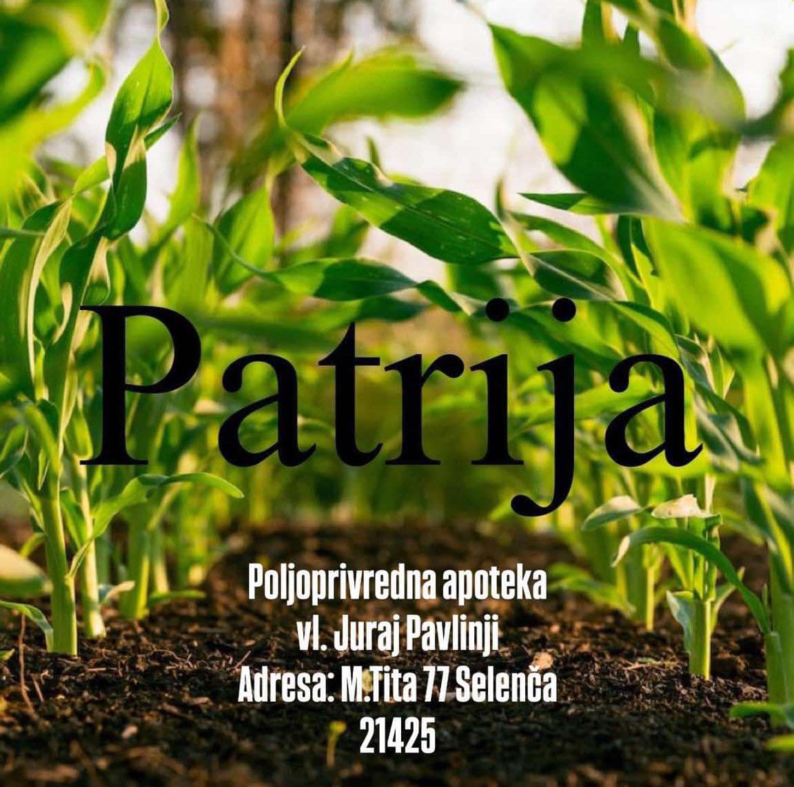 Sponzor 29