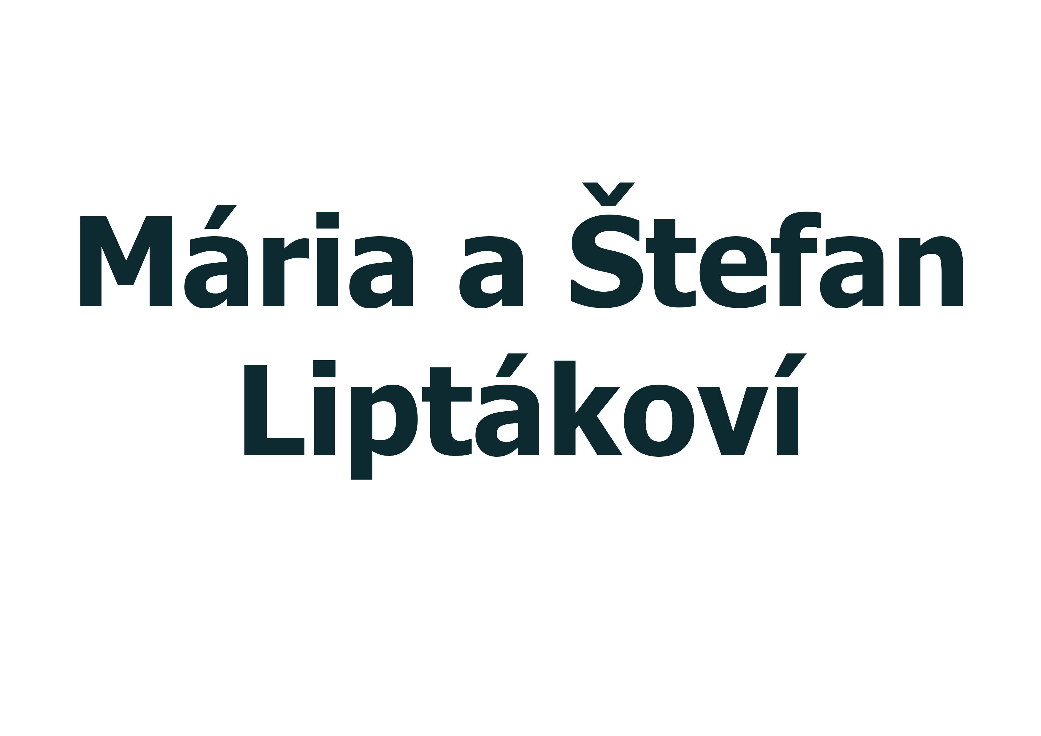 Maria Stefan Liptakovi