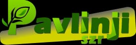 Pavlini